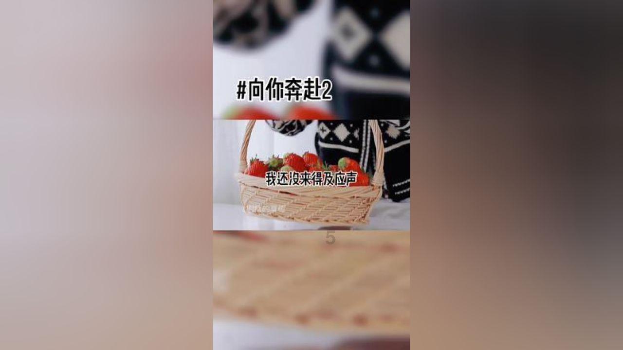 蓝狐视频