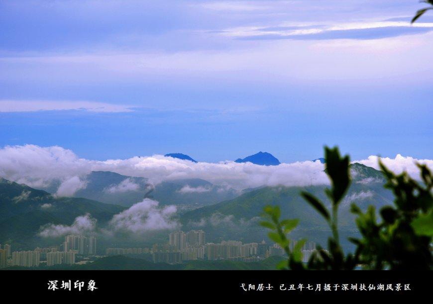 沪江开心词场