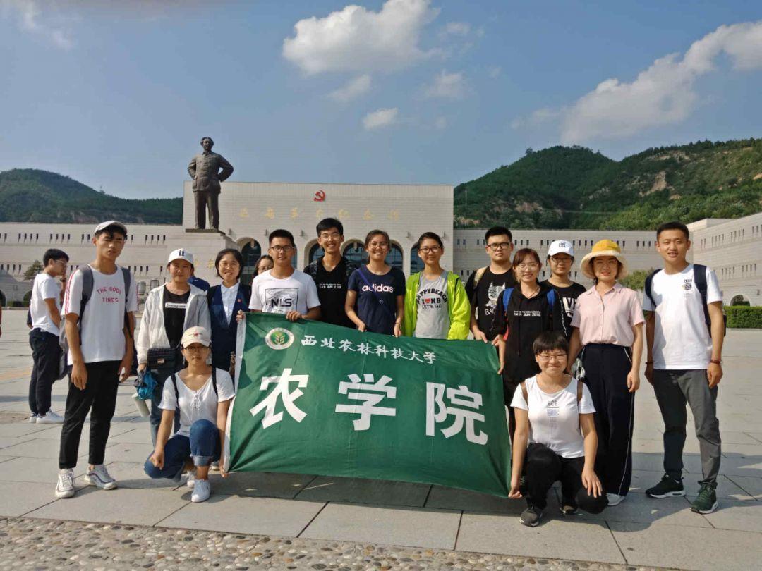 燃烧吧大脑装瓶子游戏
