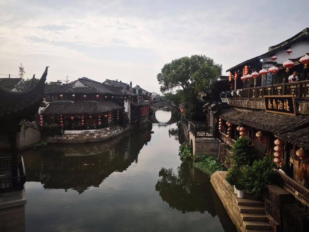 虫虫助手下载