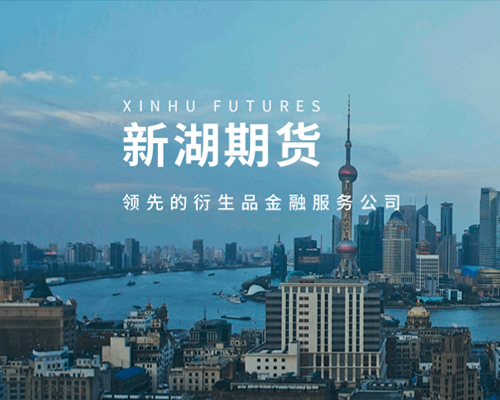 为新湖瑞丰部署本地硬件私有化服务器，助金融业风险审计